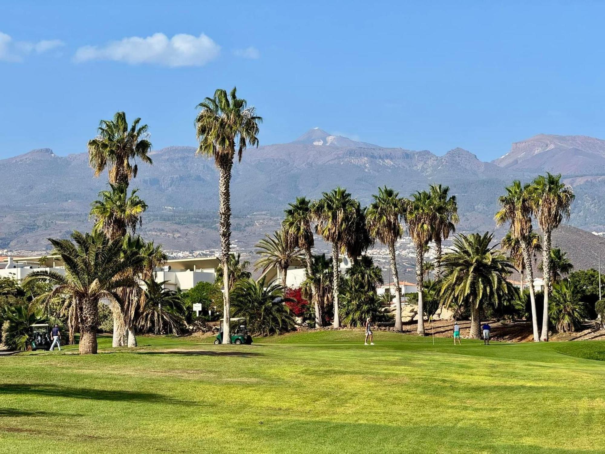 Parque Albatros 118 Appartement San Miguel de Abona Buitenkant foto